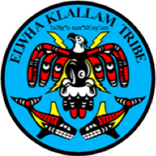 Crest for the Lower Elwha Klallam Tribe featuring an eagle and two salmon drawn in a Salish art style on a blue background