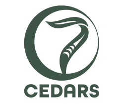7-cedars-logo